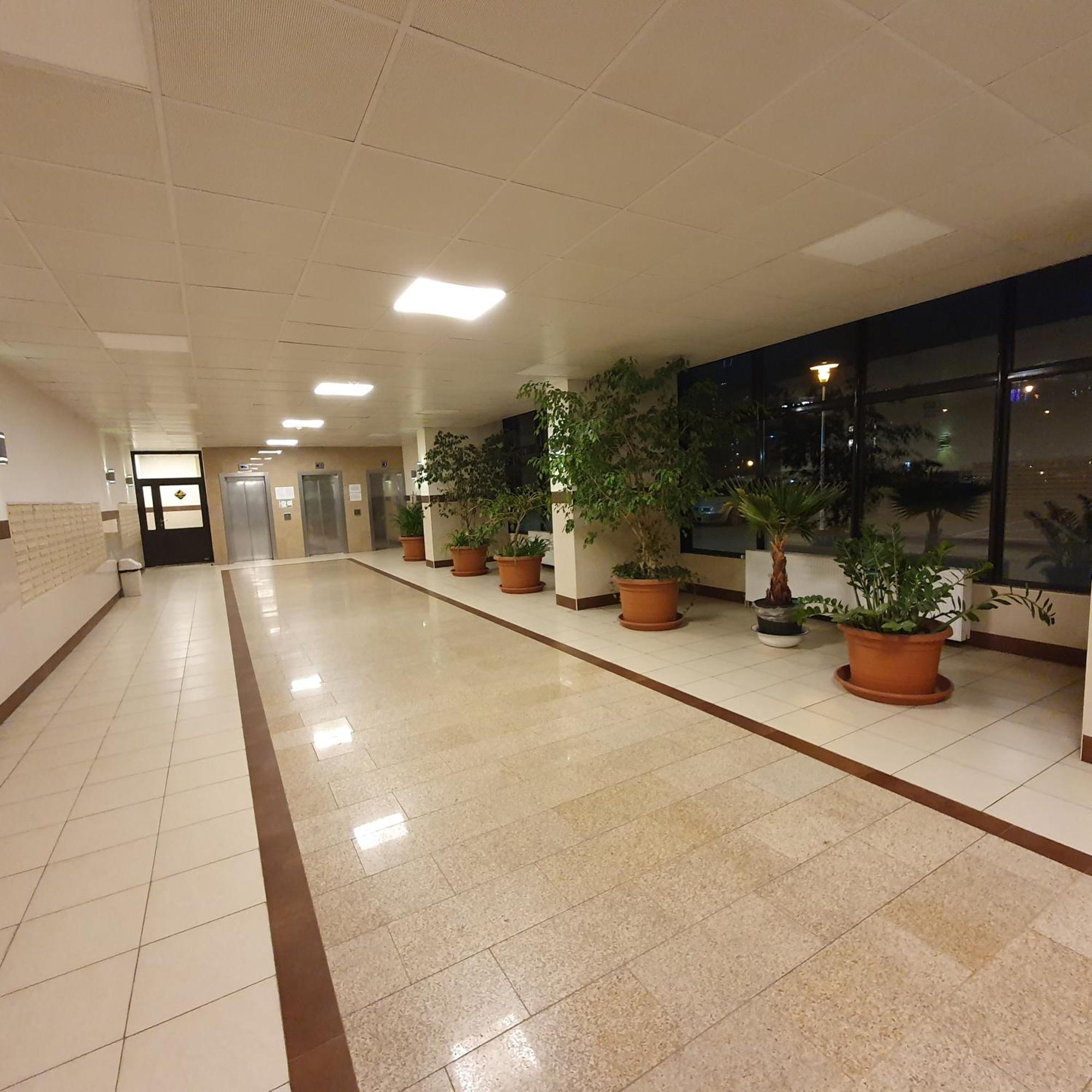 Park Saski Przechodnia Warsawa Bagian luar foto